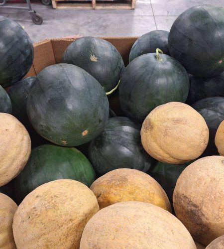 melons